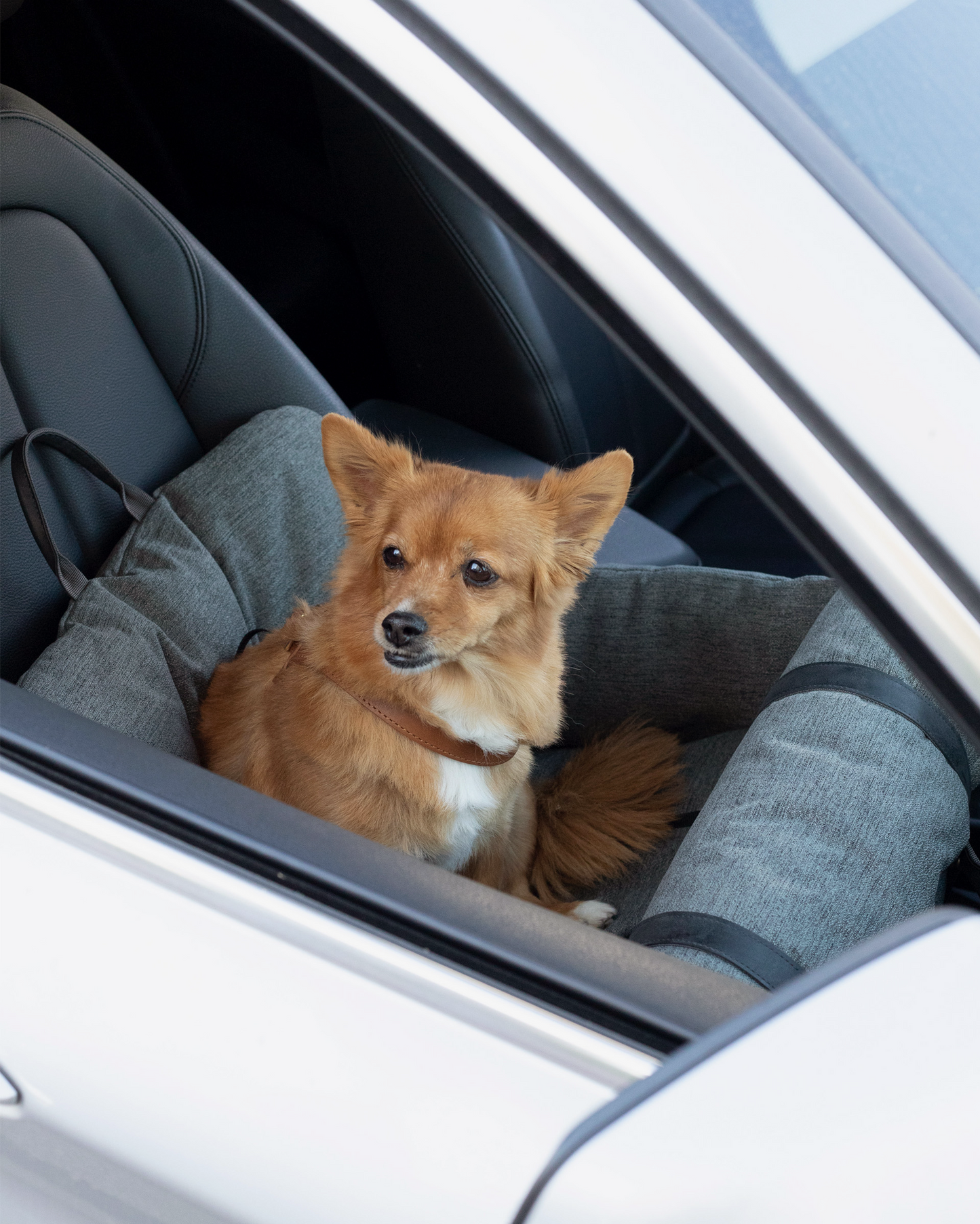 Nomad Pet Car Seat