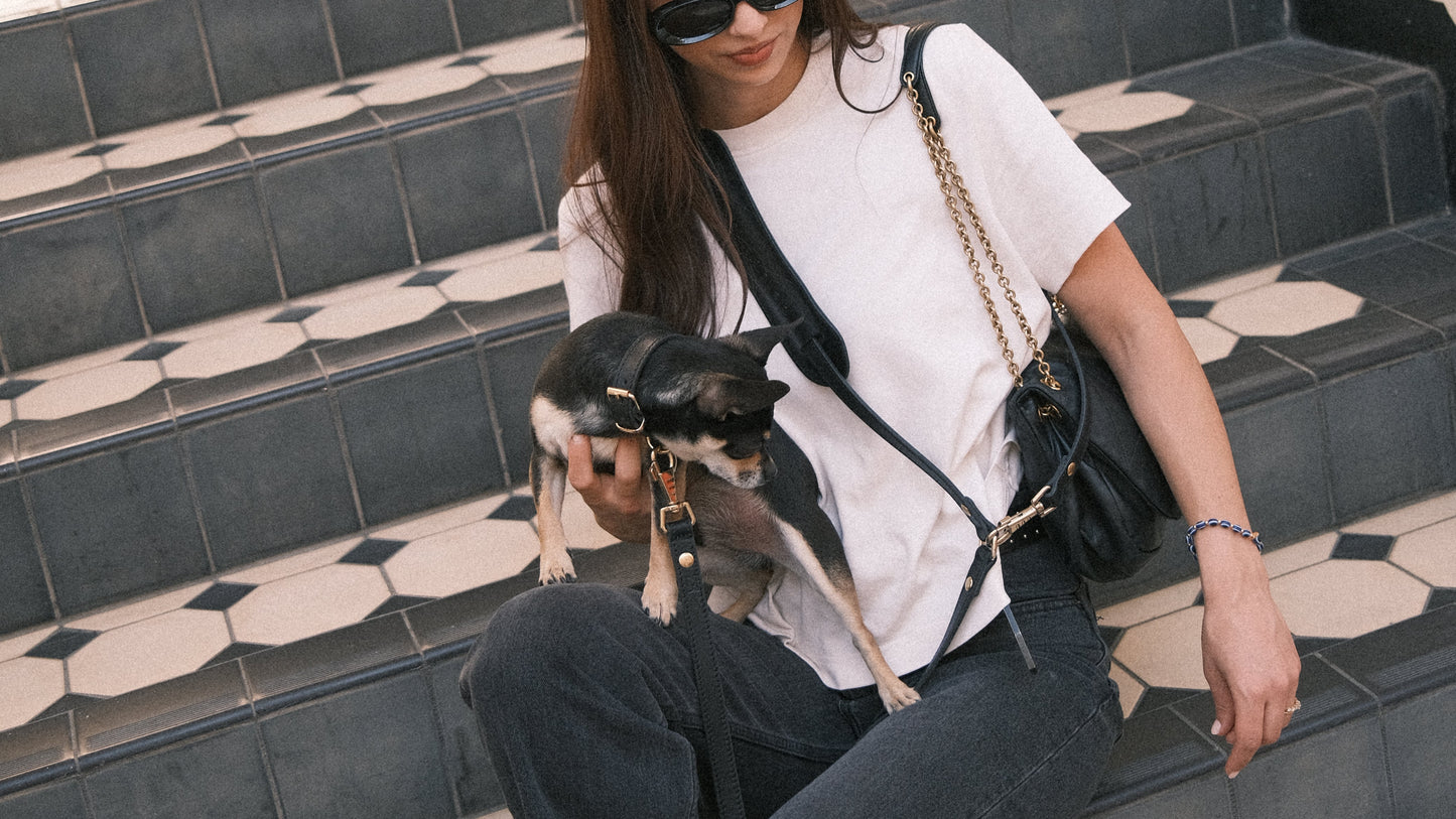 Legacy Collar + Leash Bundle | Black