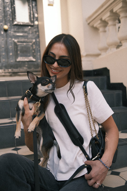 Legacy Leather Collar | Black