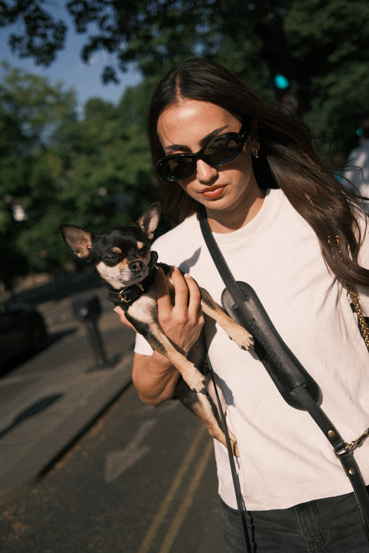 Legacy Leather Leash | Black