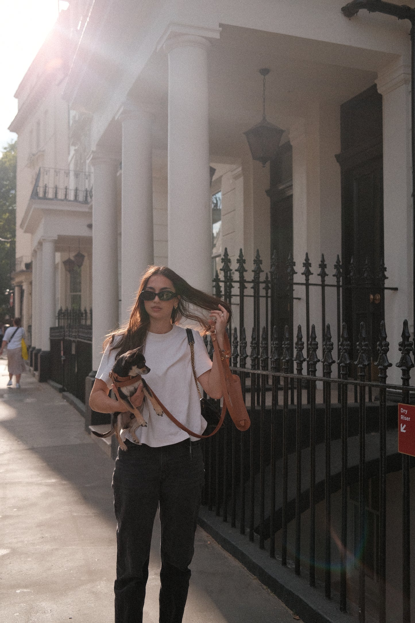 Legacy Leather Leash | Tan