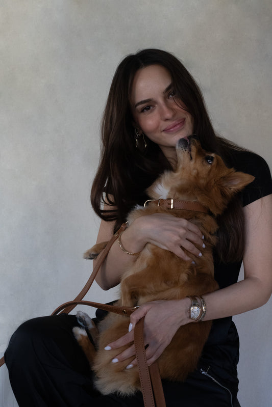 Legacy Collar + Leash Bundle | Tan