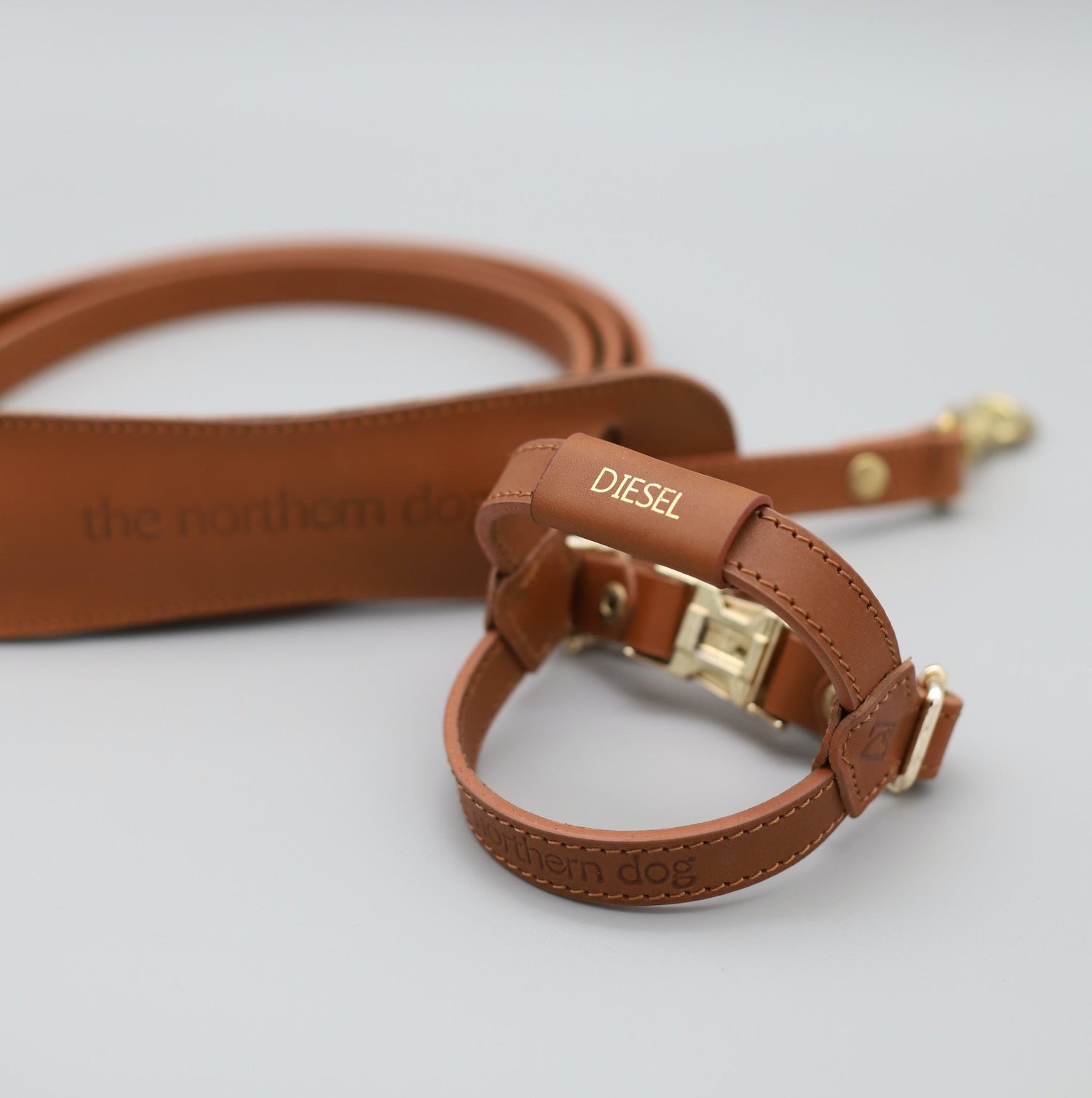 Harness + Leash Bundles