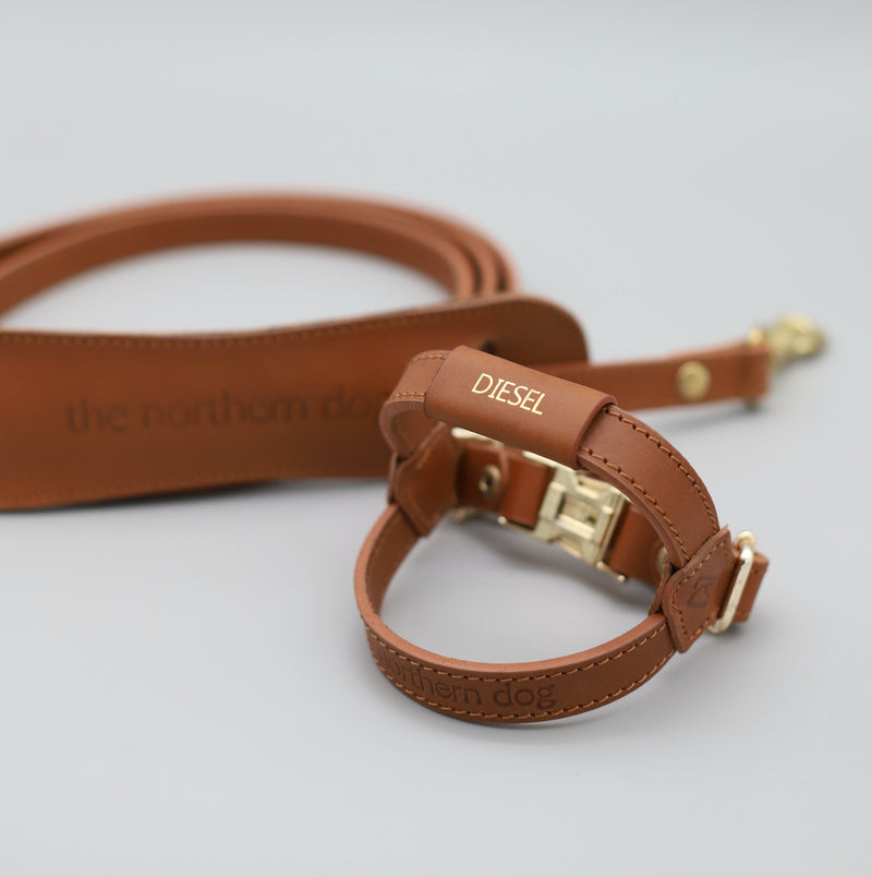 Harness + Leash Bundles