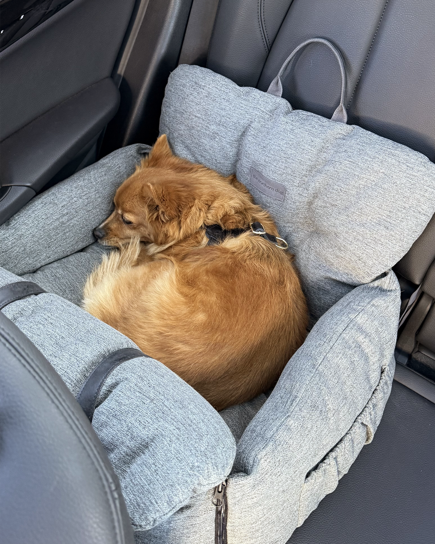 Nomad Pet Car Seat