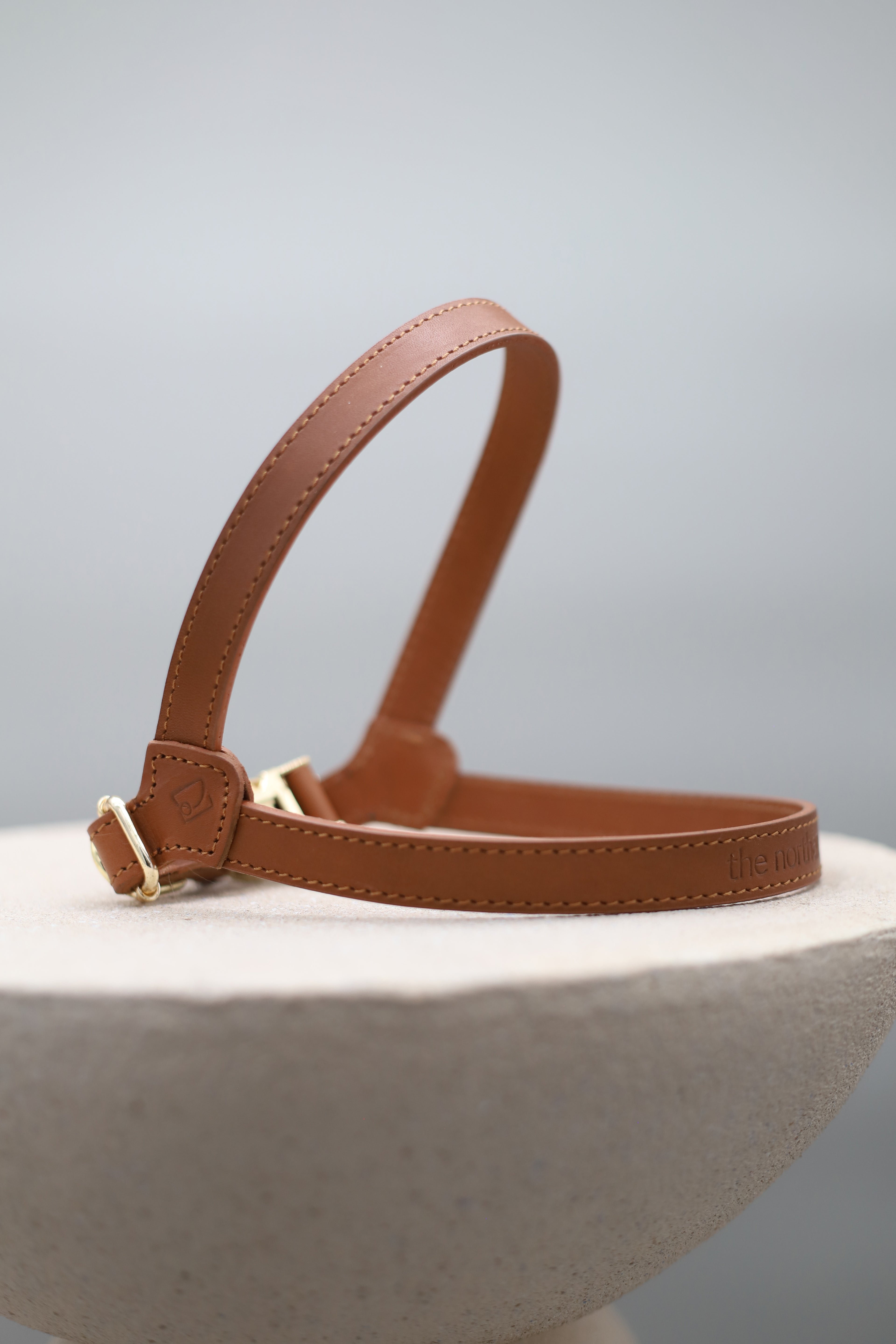 Legacy Harness + Leash Bundle | Tan