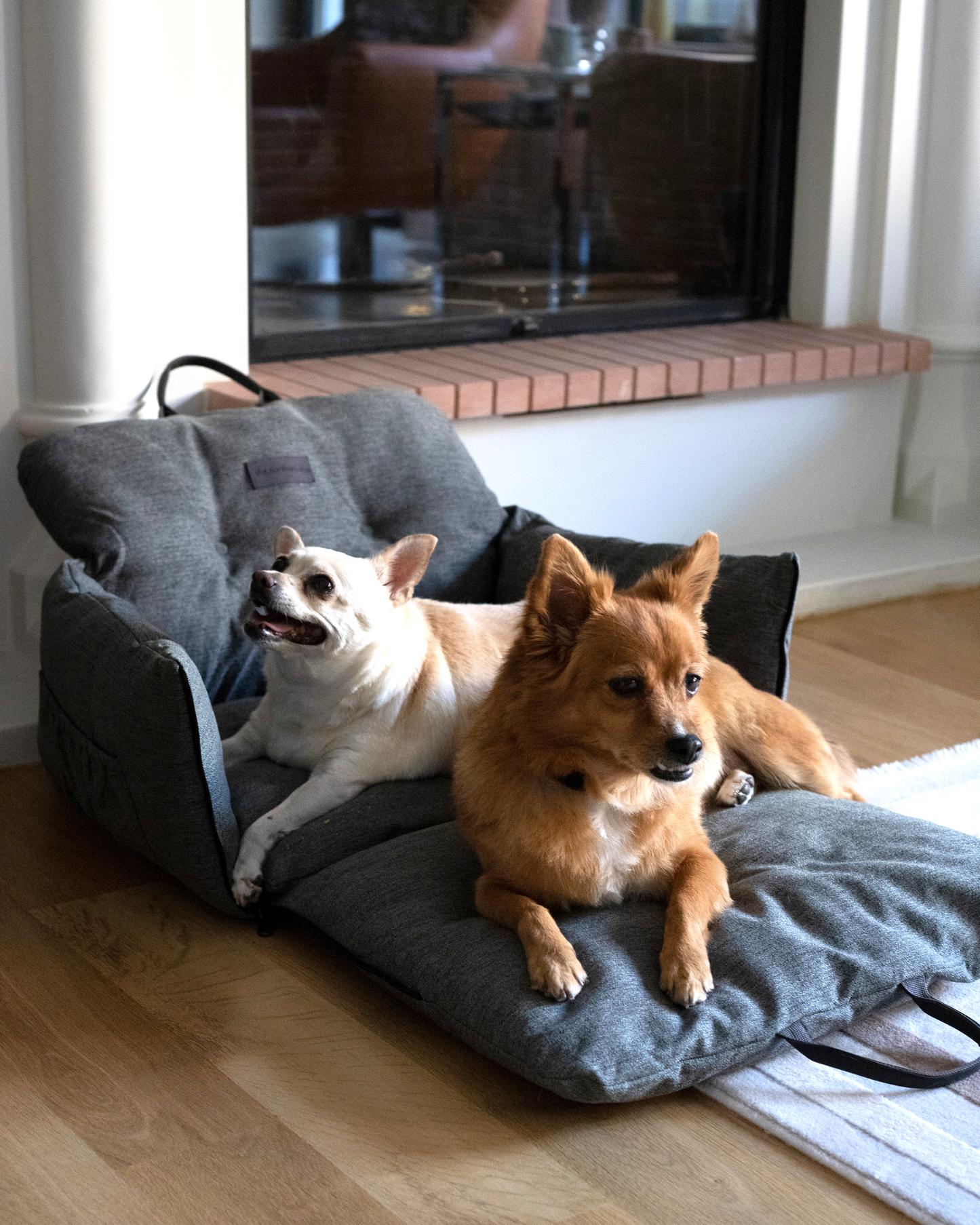 Nomad Pet Car Seat