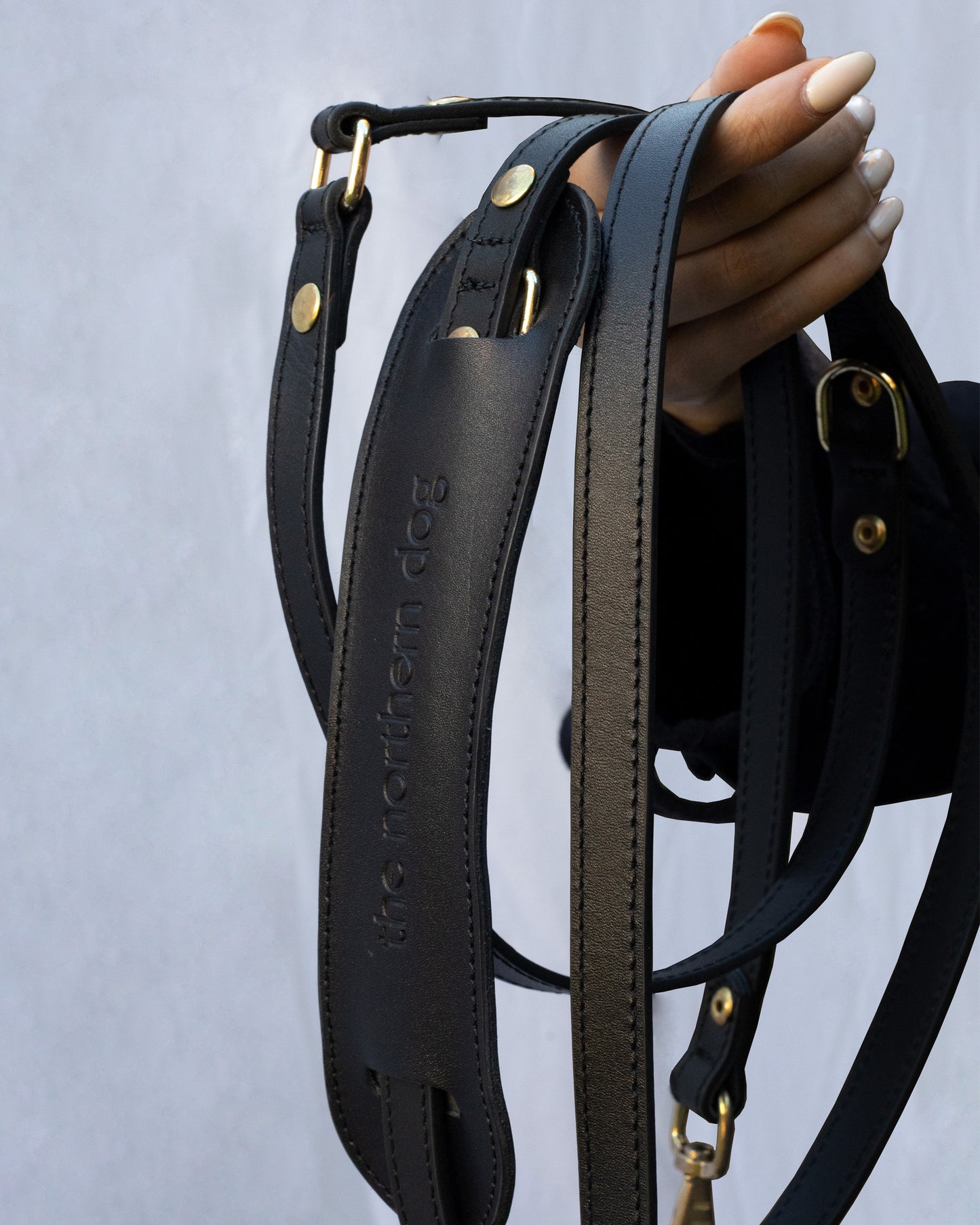 Legacy Leather Leash | Black