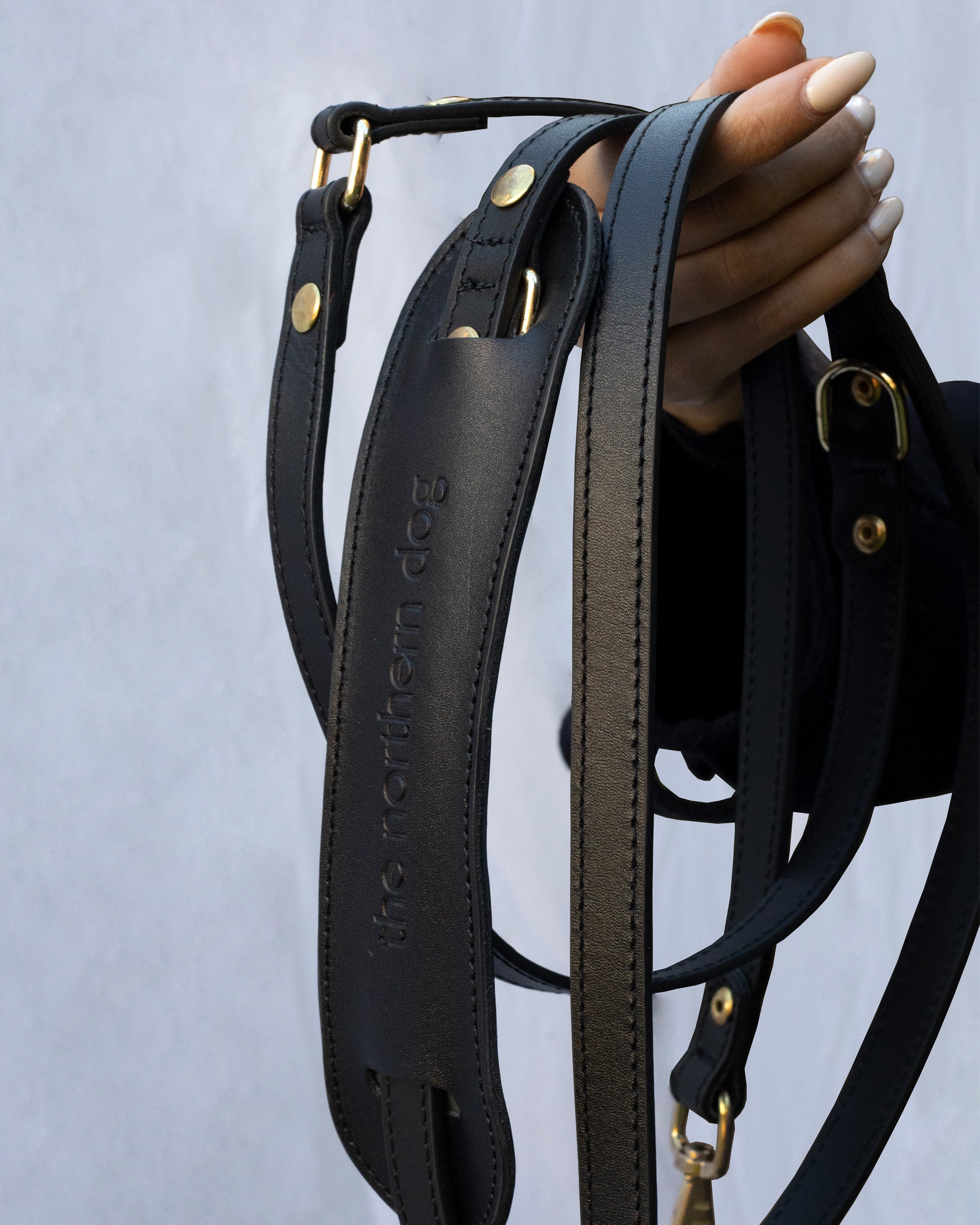 Legacy Leather Leash | Black