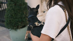 Legacy Leather Harness | Black