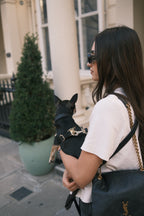 Legacy Harness + Leash Bundle | Black