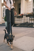 Legacy Harness + Leash Bundle | Black