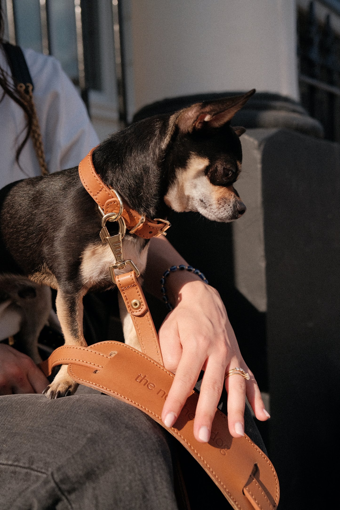 Legacy Leather Collar | Tan