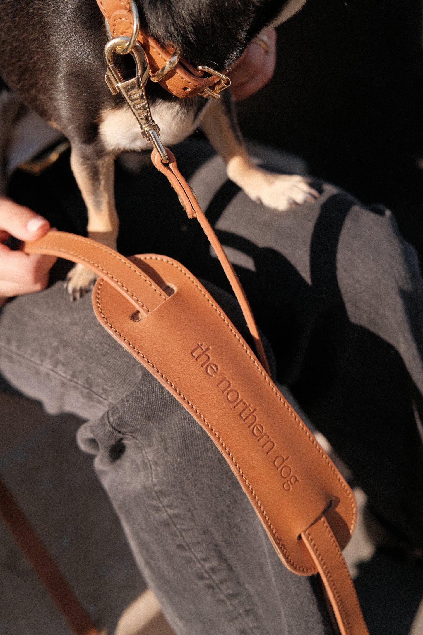Legacy Leather Leash | Tan