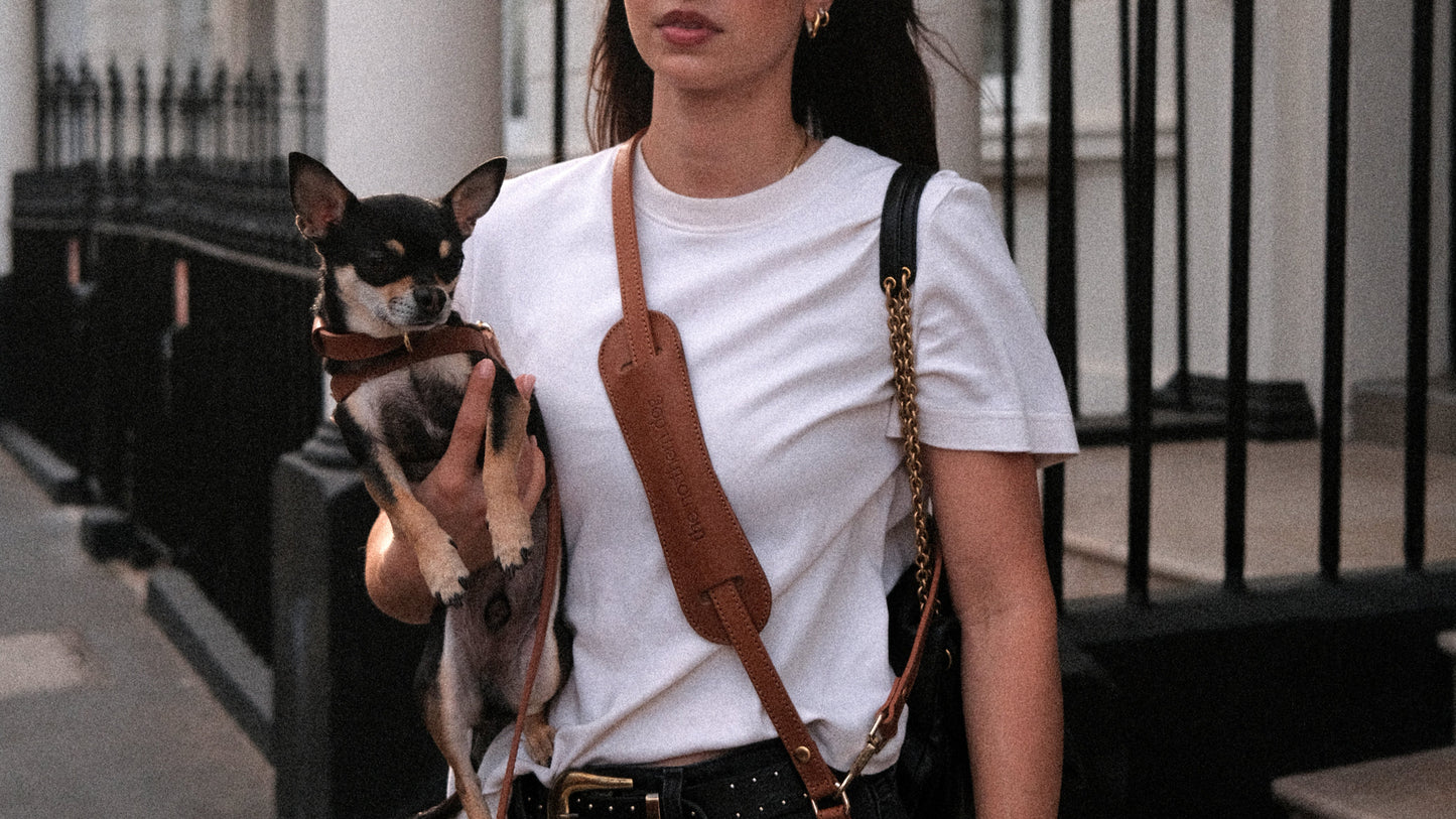 Legacy Leather Leash | Tan