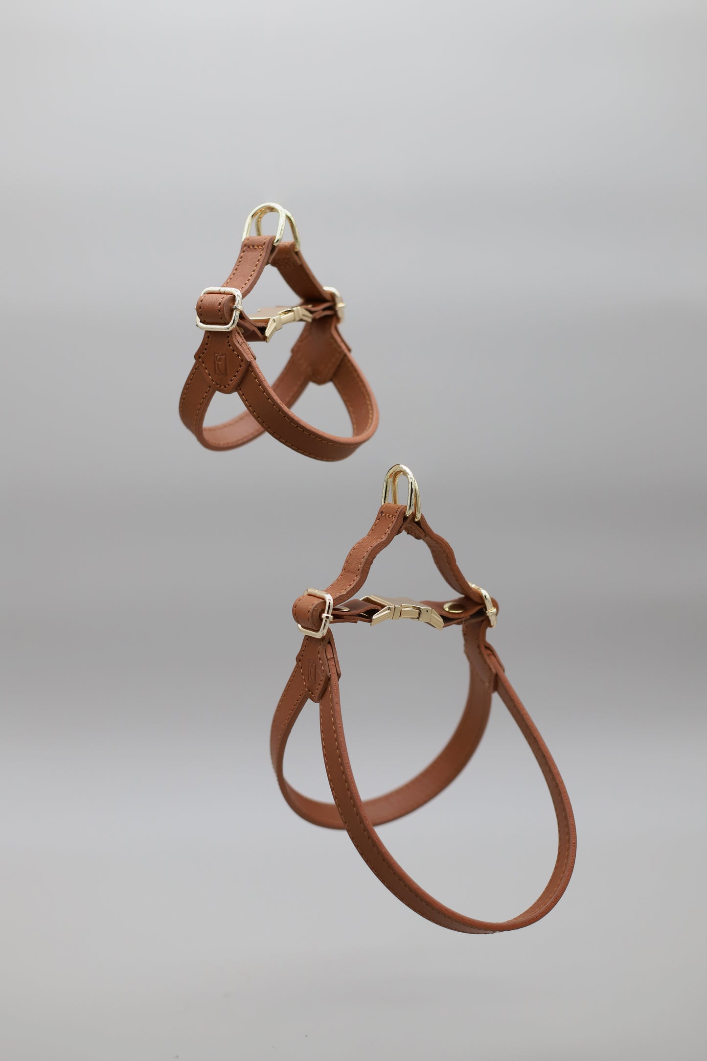 Legacy Harness + Leash Bundle | Tan