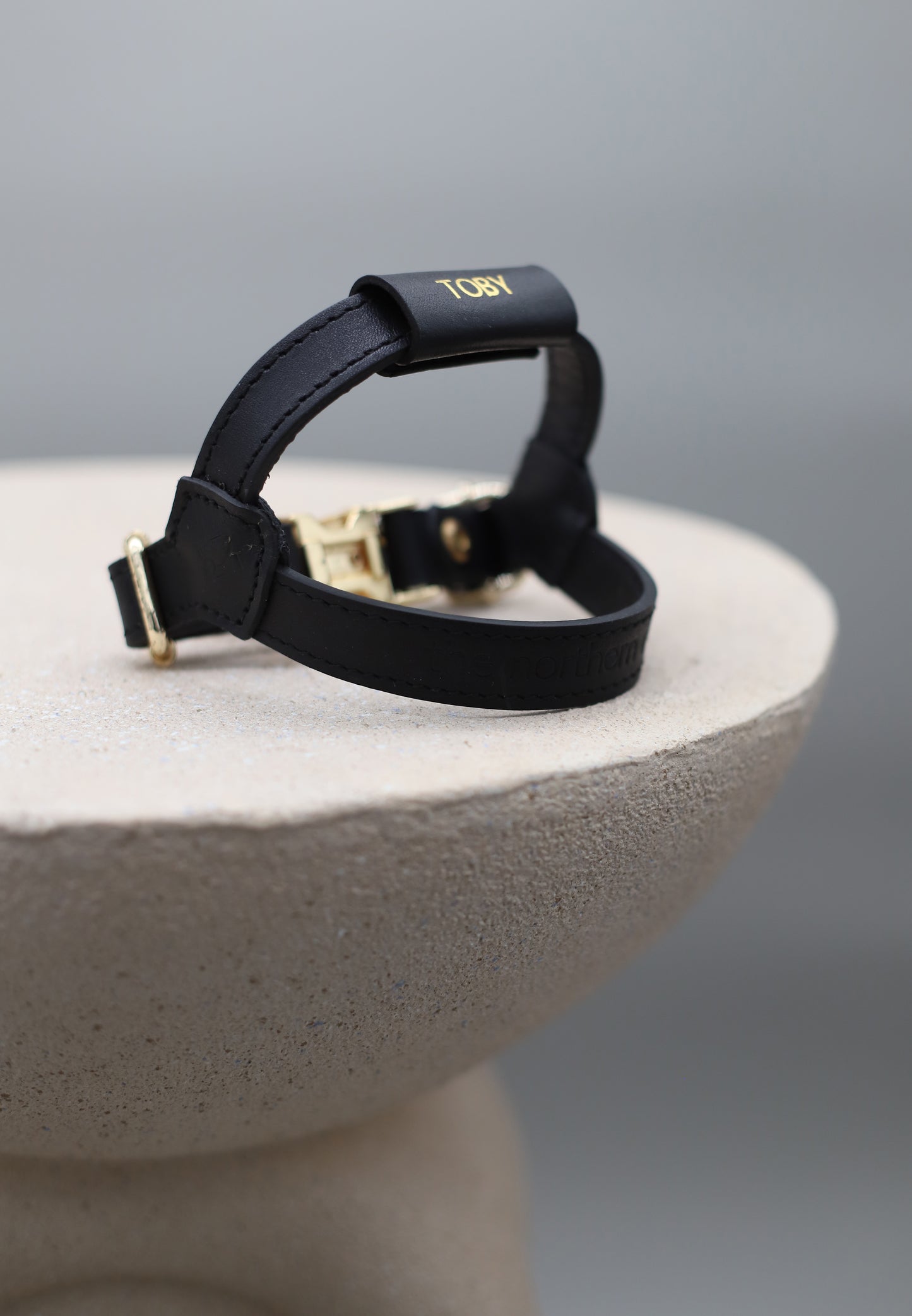Legacy Harness + Leash Bundle | Black