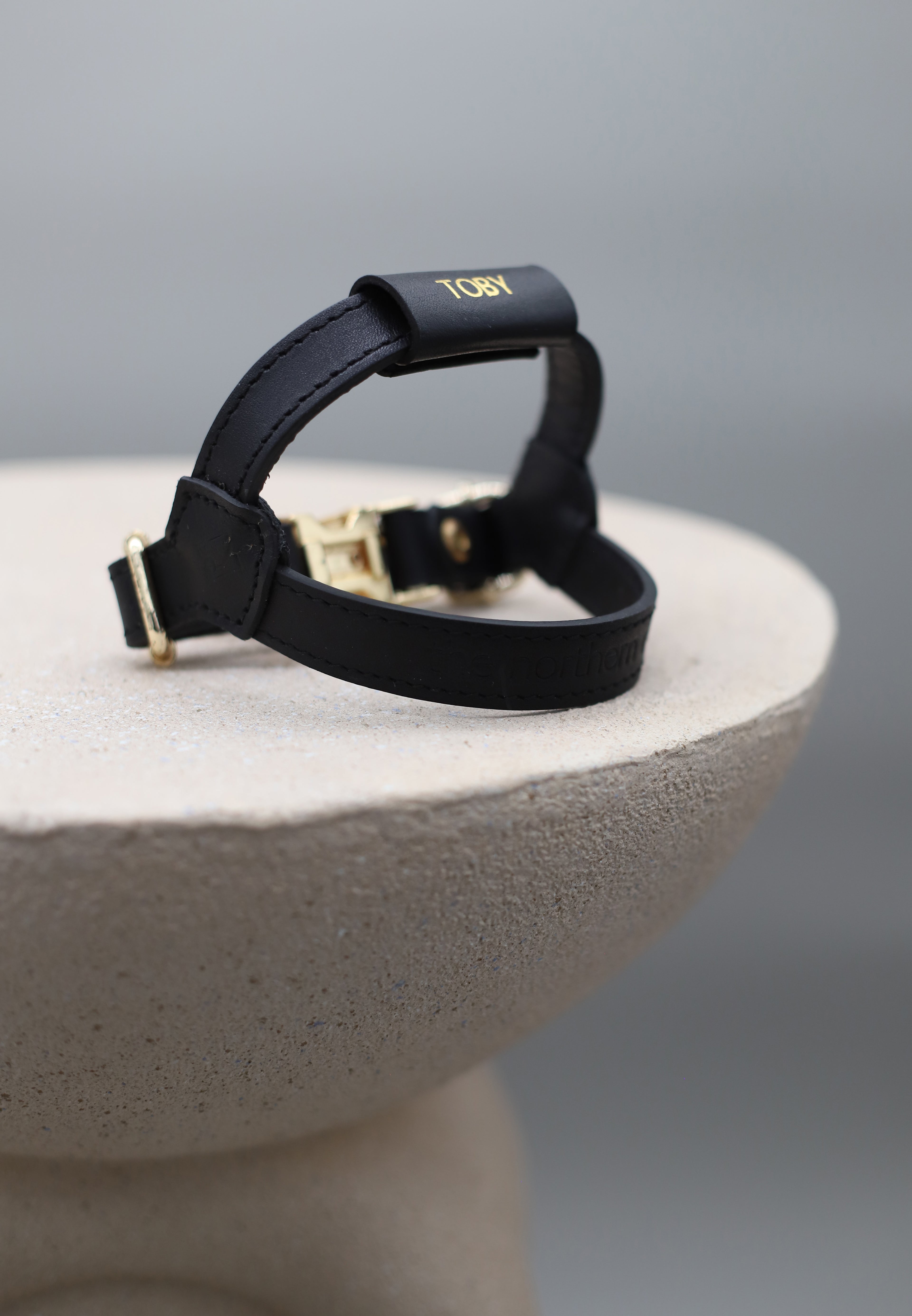 Legacy Harness + Leash Bundle | Black