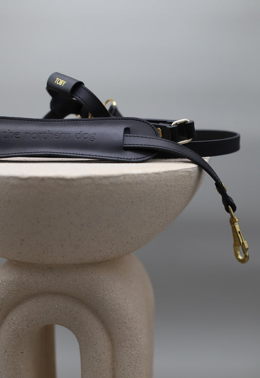 Legacy Harness + Leash Bundle | Black