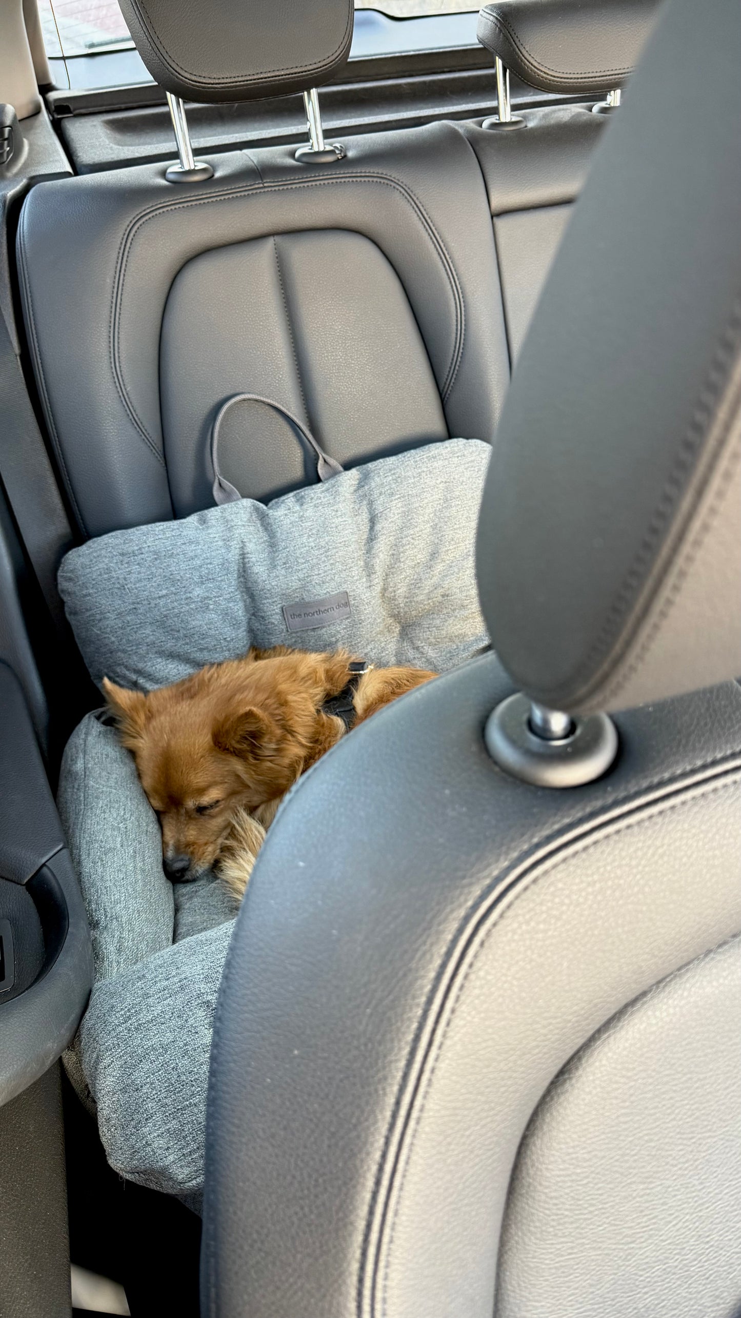 Nomad Pet Car Seat