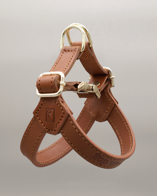 Legacy Leather Harness | Tan