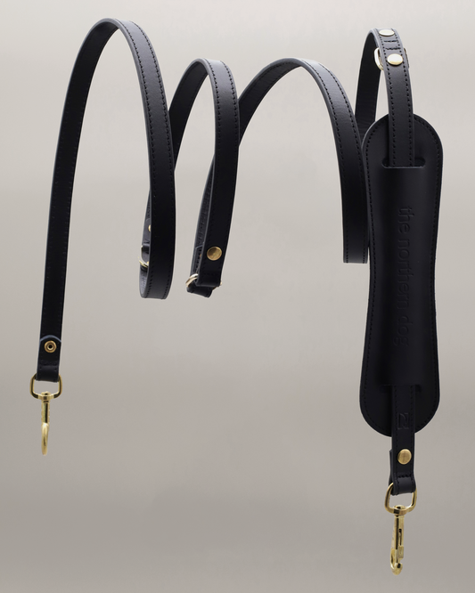 Legacy Leather Leash | Black