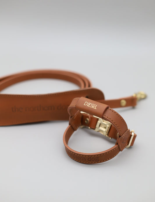 Legacy Harness + Leash Bundle | Tan