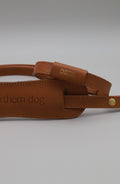 Legacy Collar + Leash Bundle | Tan